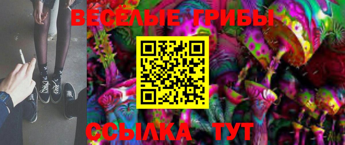 Галлюциногенные грибы ЛСД Урус-Мартан