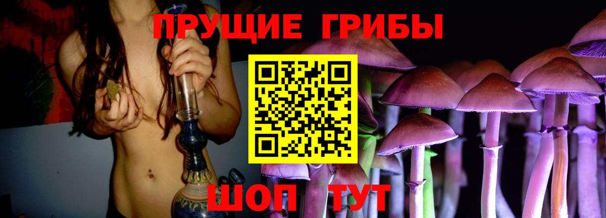 Галлюциногенные грибы Psilocybe  Вход с VPN  Урус-Мартан 